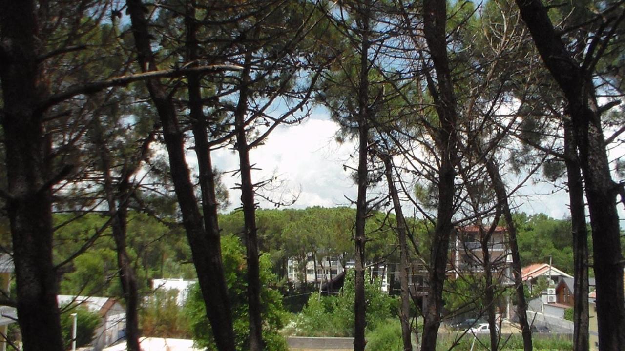 Hotel Temali 2 Velipojë מראה חיצוני תמונה