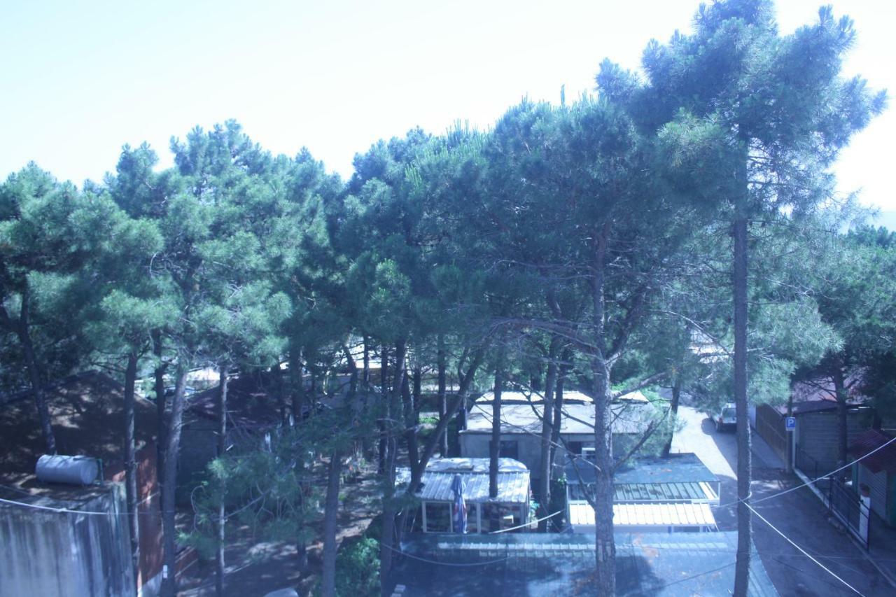 Hotel Temali 2 Velipojë מראה חיצוני תמונה